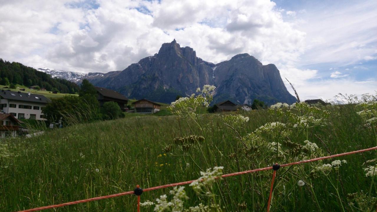 Landhaus Bachler Brixen im Thale Ngoại thất bức ảnh